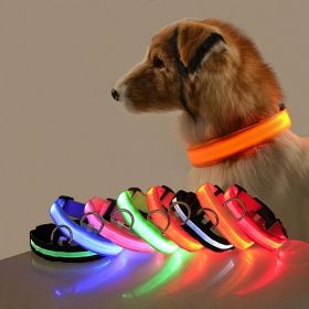 Glow-In-The-Dark Pet Collar For Dog & Cat; LED Dog Collar For Night Walking; USB charging (Color: Blue, size: L)